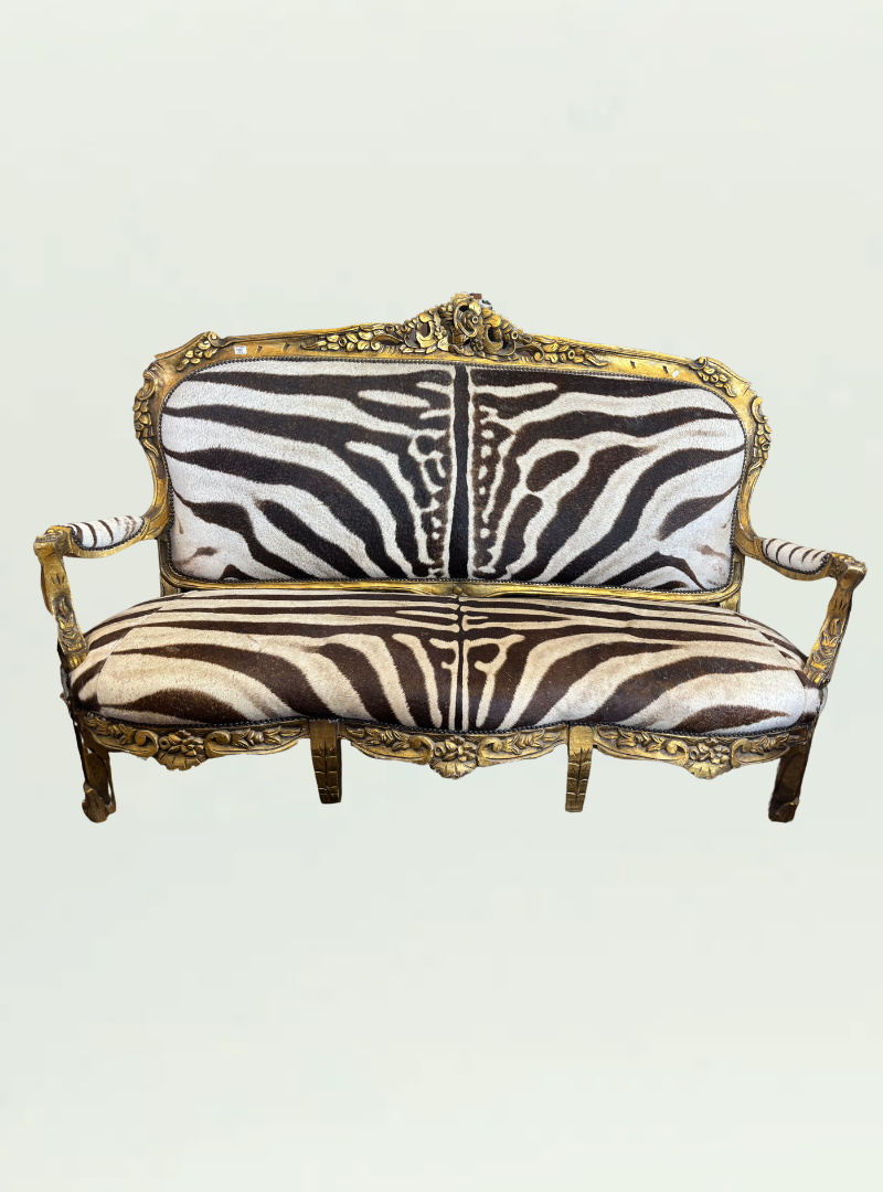 Zebra Skin Couch