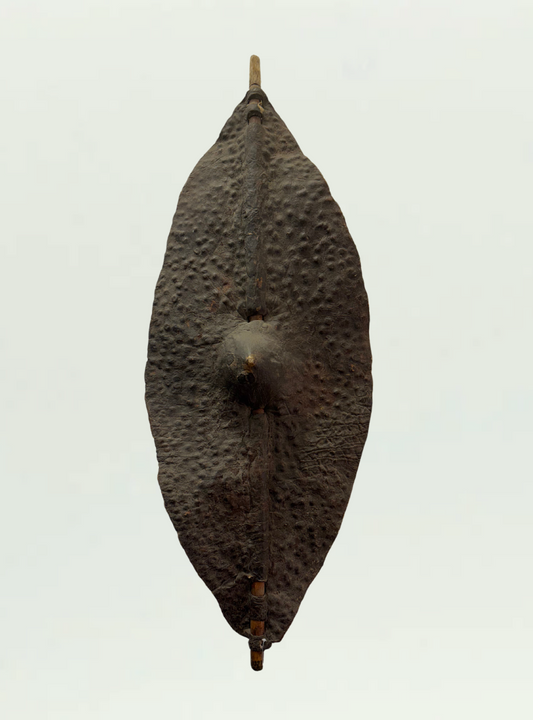 Dinka Shield